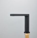 Baterie Lavoar cu Senzor/Fotocelulă TouchFlow II, 6V/220V, Negru - imagine 3